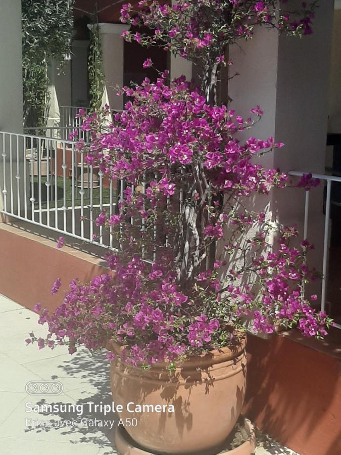 Villa Securisee Pres Des Lecques แซ็งต์-ซีร์-ซูร์-แมร์ ภายนอก รูปภาพ