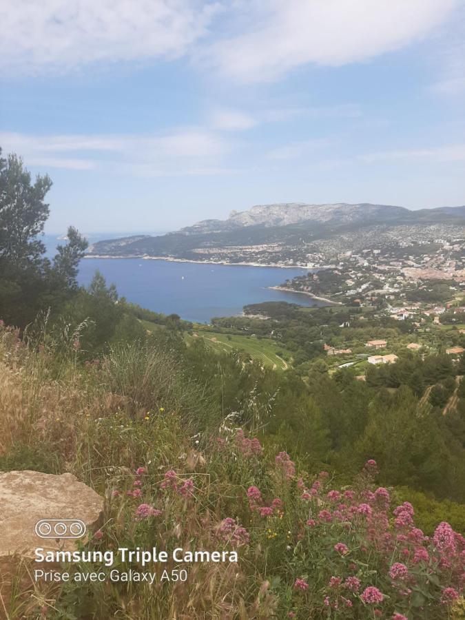 Villa Securisee Pres Des Lecques แซ็งต์-ซีร์-ซูร์-แมร์ ภายนอก รูปภาพ