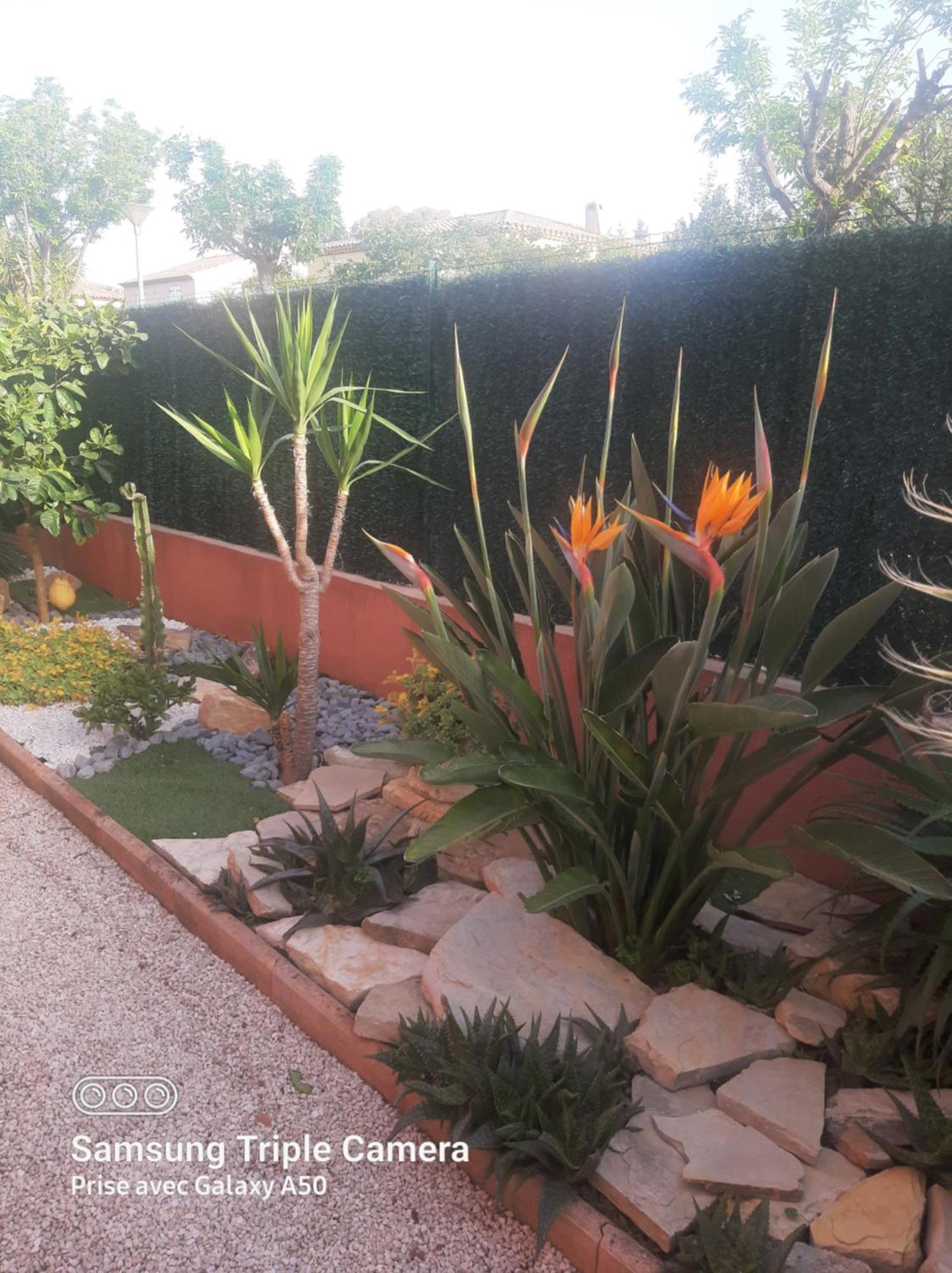 Villa Securisee Pres Des Lecques แซ็งต์-ซีร์-ซูร์-แมร์ ภายนอก รูปภาพ